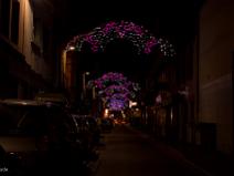 Toulouse by night (noël 2013)