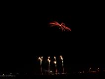 Fêtes de Balma 2014