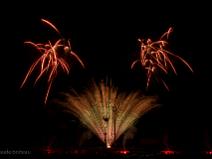 "Wolf", immersion au pays des loups