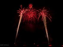 "Wolf", immersion au pays des loups