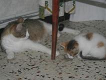 144_4455 Tiens, entraines toi !