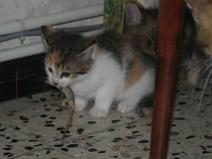 144_4468 Je l'ai eu !