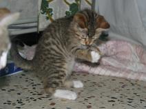 148_4846 Mais il est vivant ?