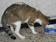 148_4857 ... bon, laisse, je vais aller � la p�che ...