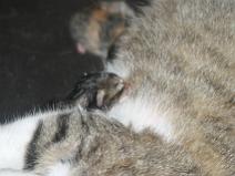 136_3635 1h du mat, le dernier est sorti