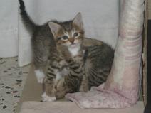 143_4328 Moi ? non non, c'est lui qui a commenc� :/