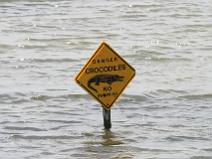 img_6042 Selon la l�gende, des crocodiles seraient lach�s pour prot�ger les marais salant de Gu�rande des touristes