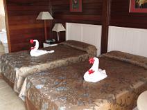 IMG_0708 A chaque jour sa d�co : Les cignes