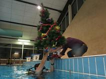 Mise en place du sapin