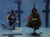 Il est pas beau mon sapin?