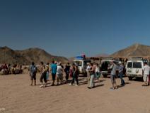 Arrivée pour balade en chameau