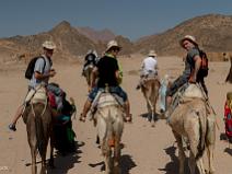 (Mitch, Gaetan, Alex)