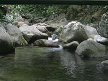 149_4941 Sur la mont�e de la cascade des Anglais