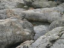 149_4946 La cascade des Anglais