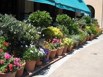 100_0470 Pendant que Monsieur encha�ne les attractions fortes, Madame flane