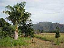 IMG_0923 Entre Tontouta et La Foa