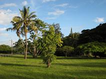 IMG_0933 entre Pa�ta et Noumea