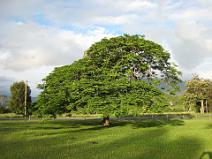 IMG_0936 entre Pa�ta et Noumea