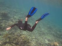 IMG_1049 C'est parti pour une plng�e sur les r�cifs