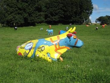 Des Vaches Pas Comme Les Autres