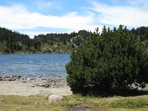 IMG_2645 Estany Negre