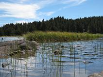 IMG_2648 Estany Negre