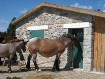 IMG_2703 Refuge de la Calma