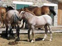 IMG_2705 Refuge de la Calma