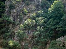 Vue sur l'autre coté de la gorge, chemin de l'aller