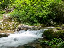 Les Gorges de la Carança