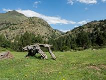 Montée vers les Marmottes