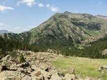 Vue sur le champ de marmottes