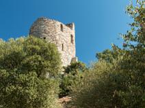 Grimaud