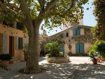 Grimaud
