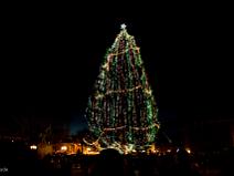 Cathédrale Notre Dame de Paris