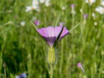 Parc du Chateau de La Borie