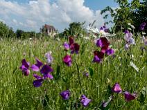 Parc du Chateau de La Borie