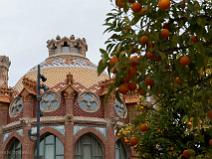 Hospital de la Santa Creu
