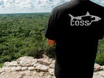 Cobá