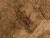 zone archéologique Uxmal