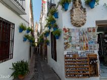 70d_2442 Calleja de las Flores