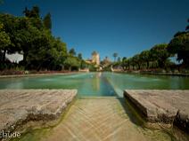 70d_2464 Alcazar de Cordoue