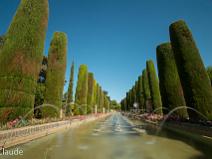 70d_2468 Alcazar de Cordoue