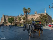 70d_2080 Devant l'archive des Indes