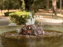 010-70d_9138 Piazza di Siena