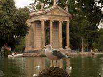 020-70d_9165 Tempio di Esculapio