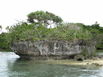2010-04 Nouvelle Caledonie
